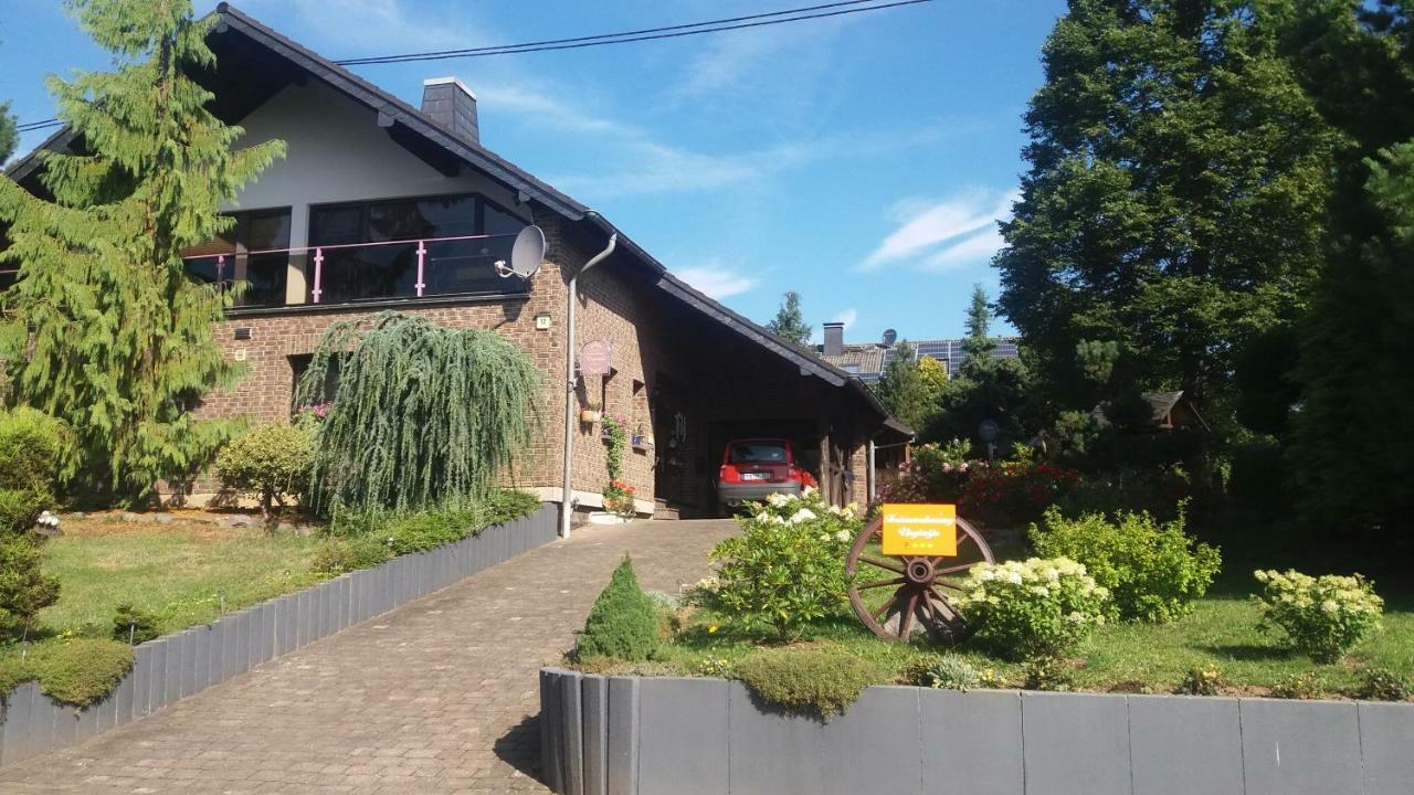 Ferienwohnung Virginija Ditscheid Exterior foto